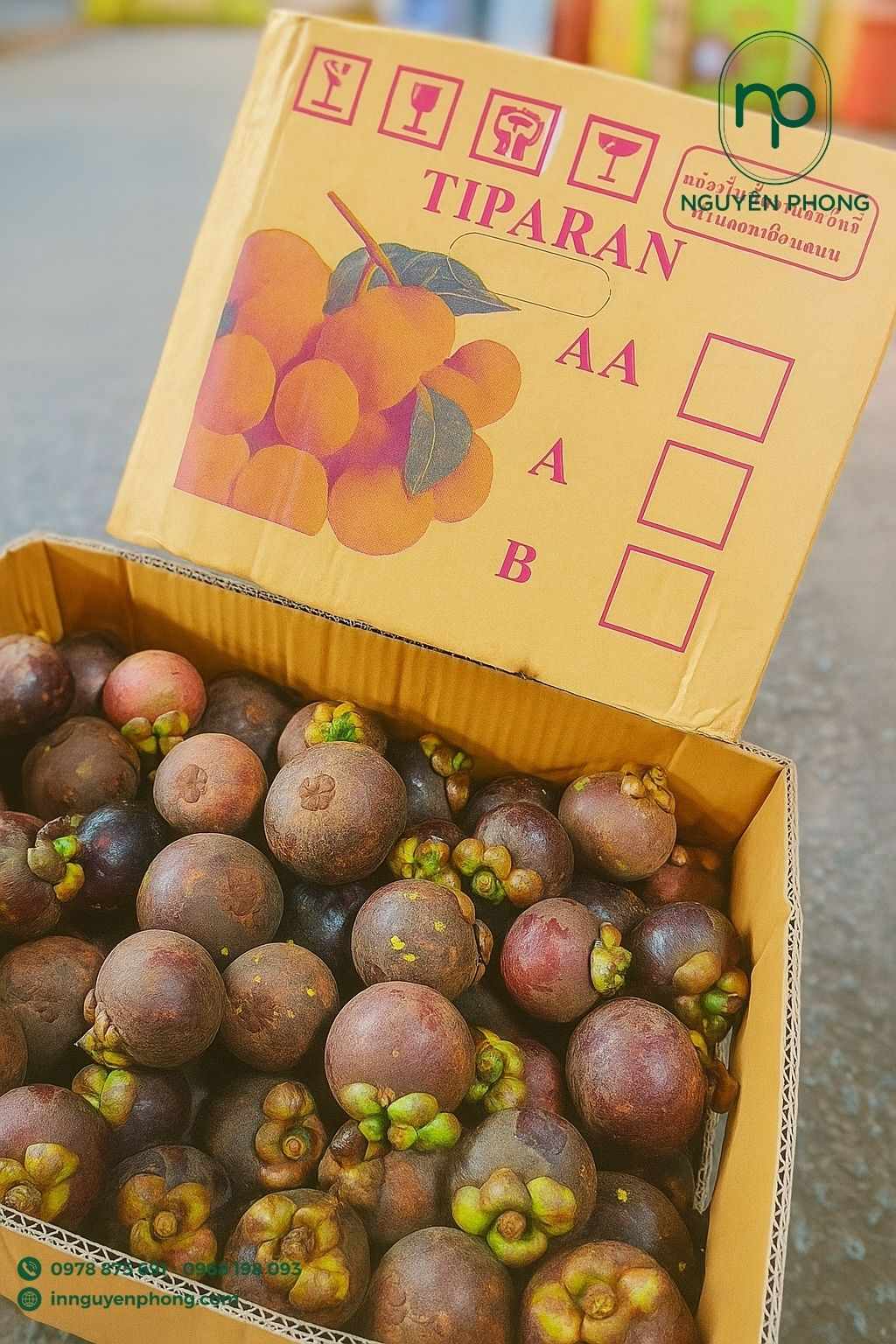 Mẫu thùng carton đựng măng cụt chịu lực chắc chắn